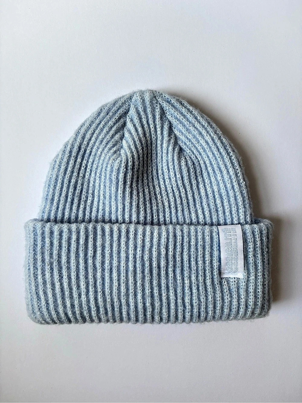 FREE WITH PURCHASE | H&M Divided Ribbed Knit Beanie in Blue